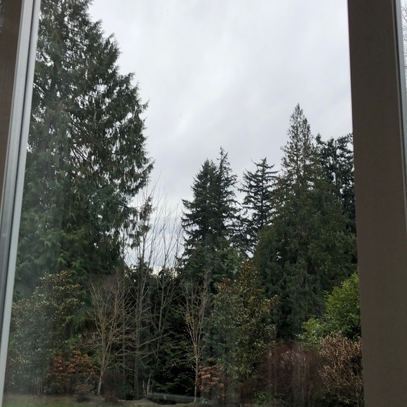 Meet your Posher, Cindi - Picture 1 of 1